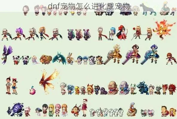 DNF地下城宠物进化全攻略指南